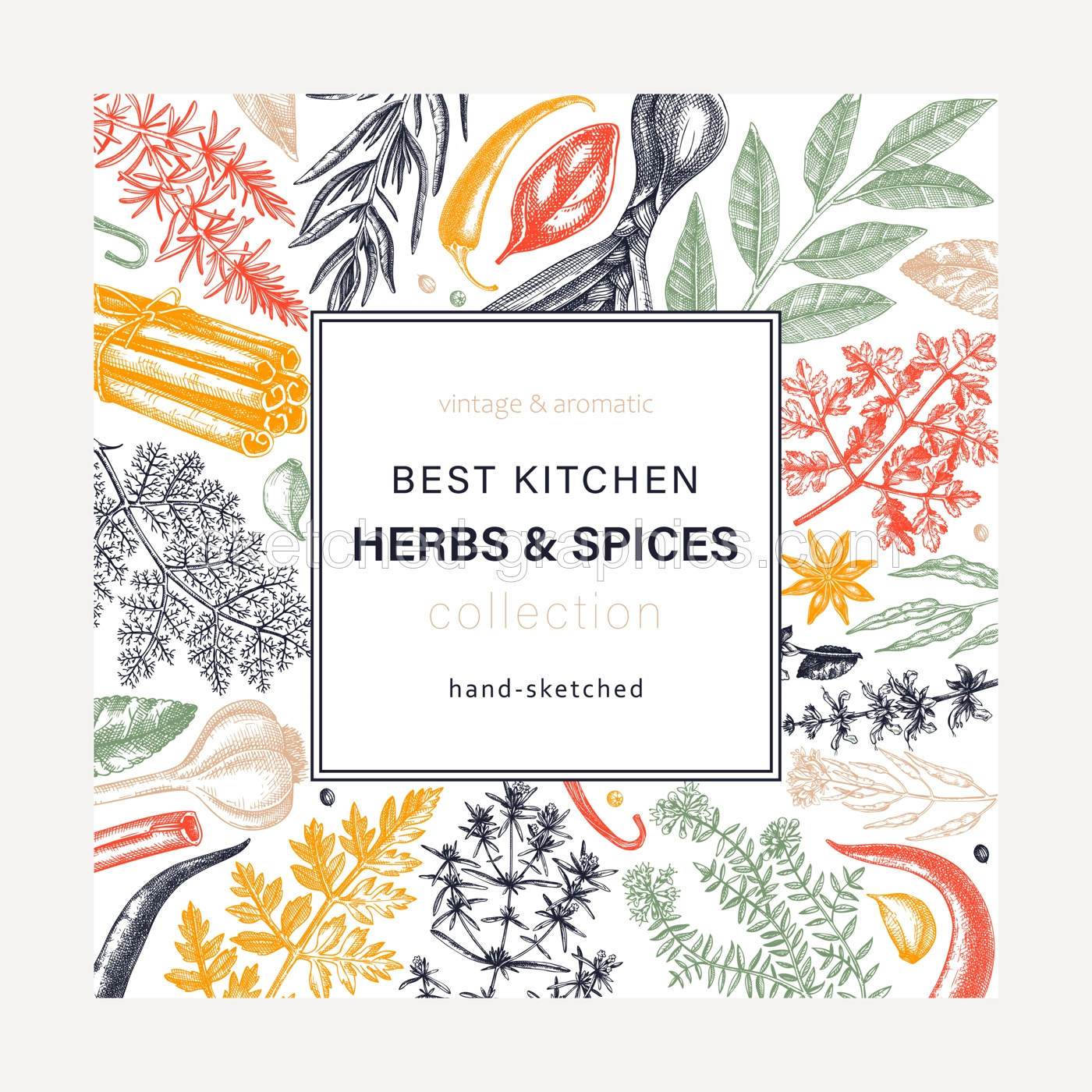 Herbs And Spices Square Wreath Illustration